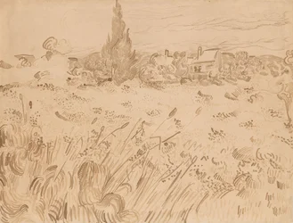 Wheatfield, Saint-Rémy de Provence